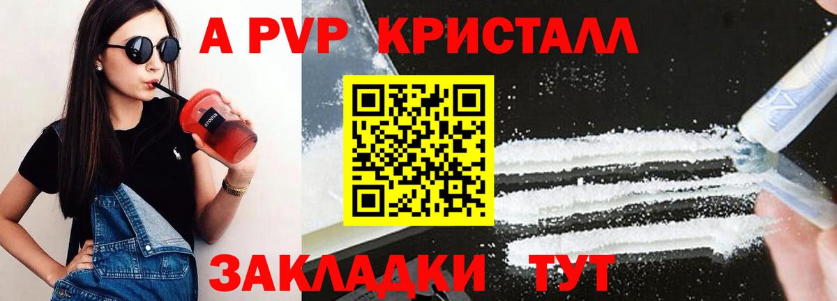 APVP СК Санкт-Петербург