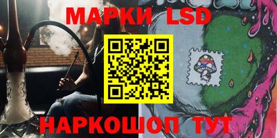 a pvp Ставрополь