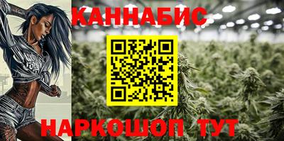 прущие крисы Абакан