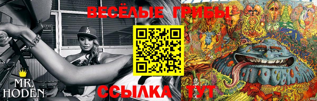 Галлюциногенные грибы ЛСД  Галлюциногенные грибы Psilocybine cubensis  Вход с VPN  Санкт-Петербург 