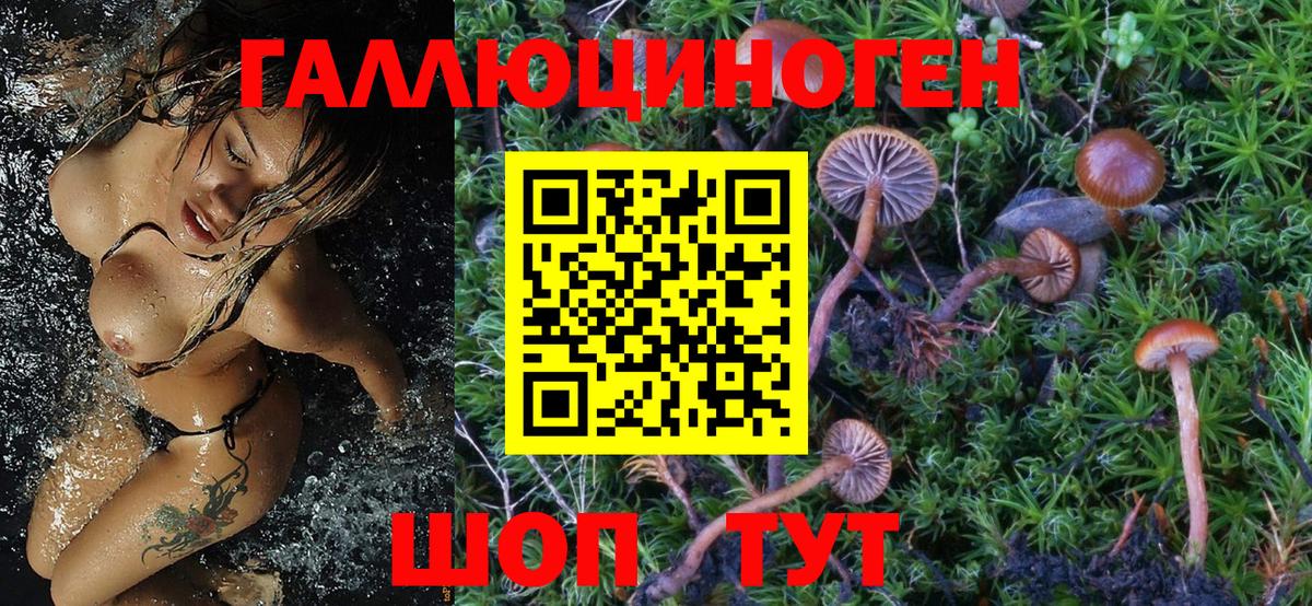 Псилоцибиновые грибы Magic Shrooms Санкт-Петербург