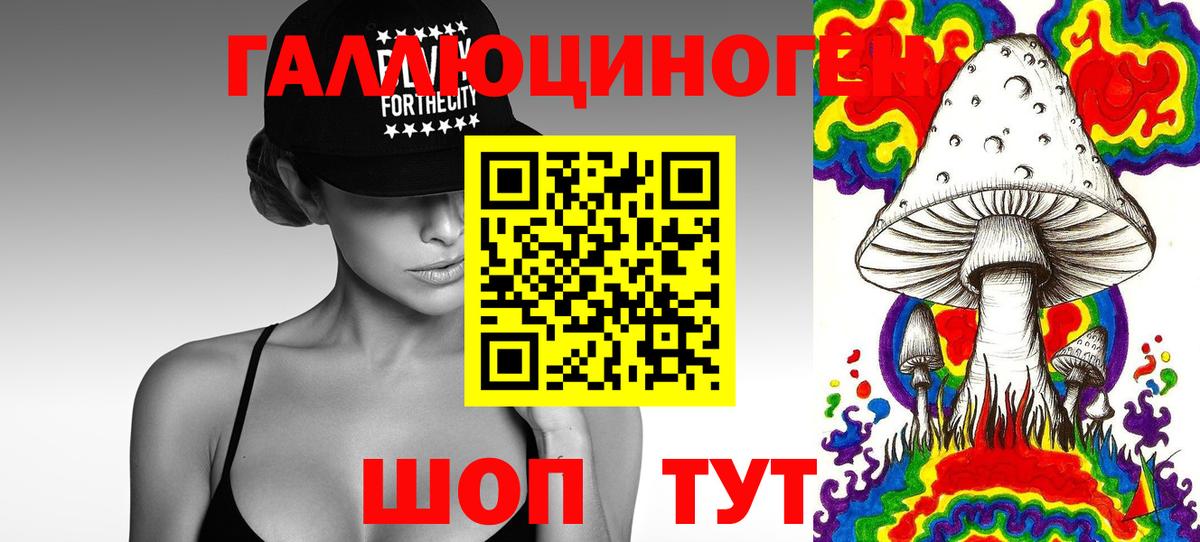 Псилоцибиновые грибы Psilocybine cubensis  Санкт-Петербург 