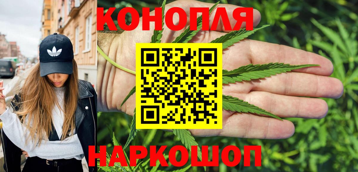 Конопля марихуана Санкт-Петербург